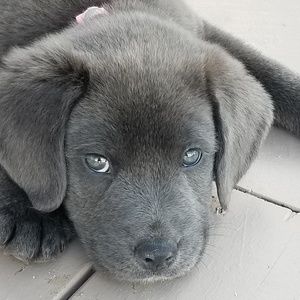 Meet your Posher, Elizabeth